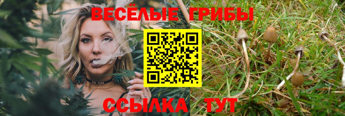 Псилоцибиновые грибы прущие грибы  Вход с VPN  Октябрьский 
