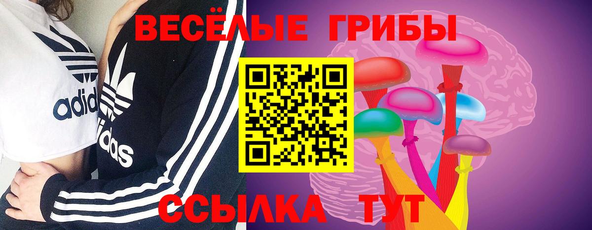 Галлюциногенные грибы Cubensis Октябрьский